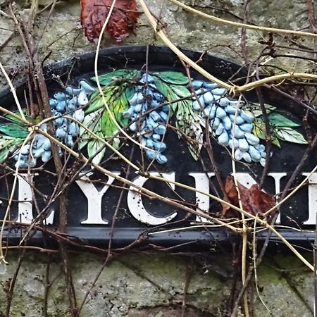 Апартаменти Le Glycine A Manoir Sainte Cecile Juvigny-Val-d'Andaine Екстер'єр фото